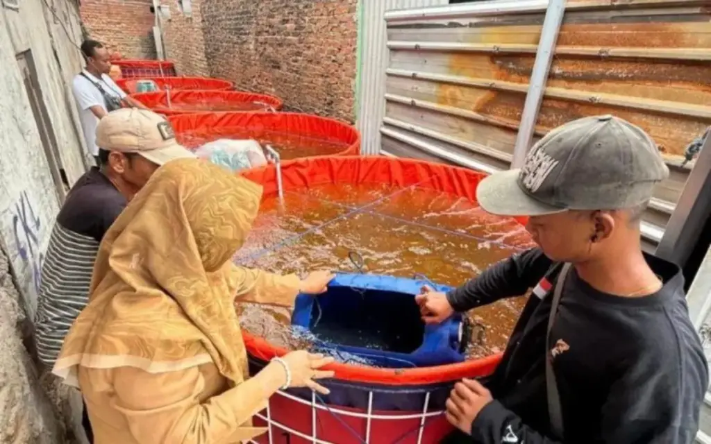Produksi perikanan Kota Cirebon