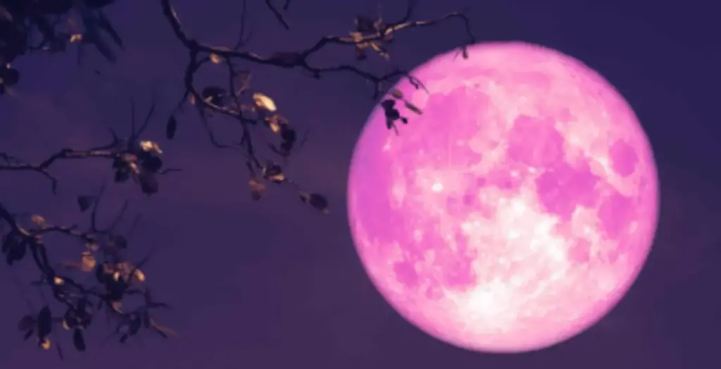 Fenomena Pink Moon