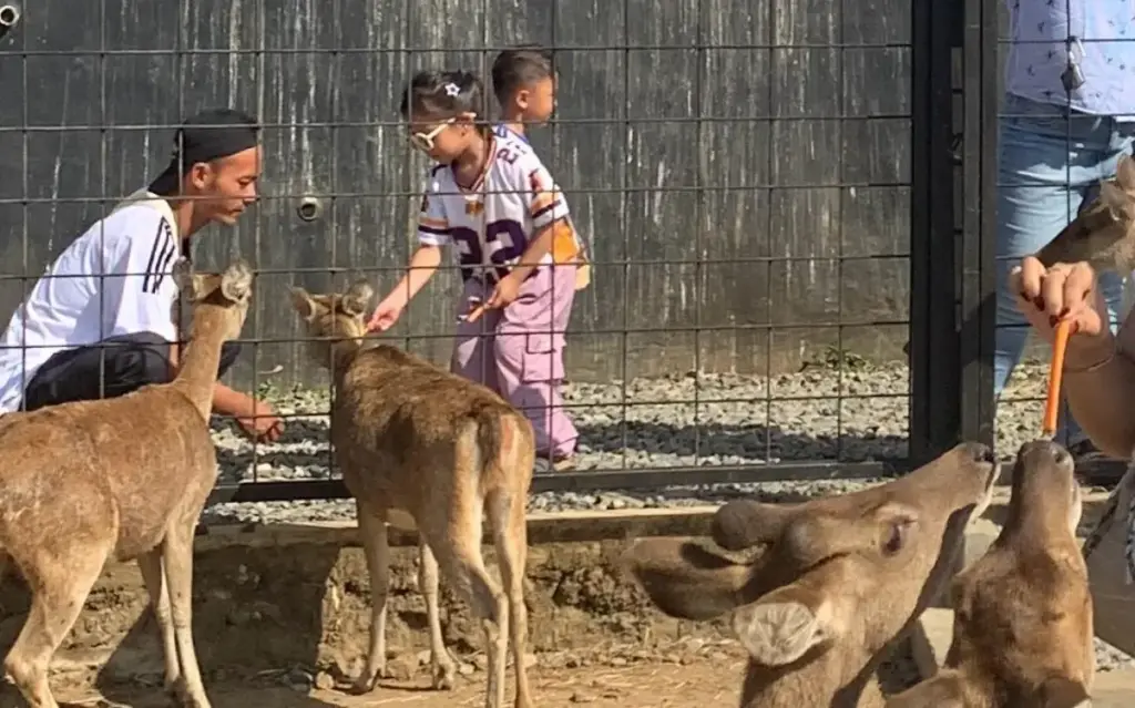 Wisata Libur Lebaran di Kuningan