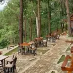 Resto View Alam di Cirebon