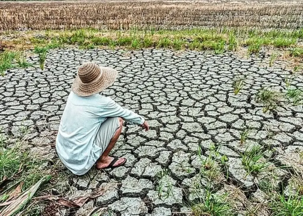 Kapan mulai musim kemarau