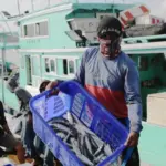 Lowongan kampung nelayan 